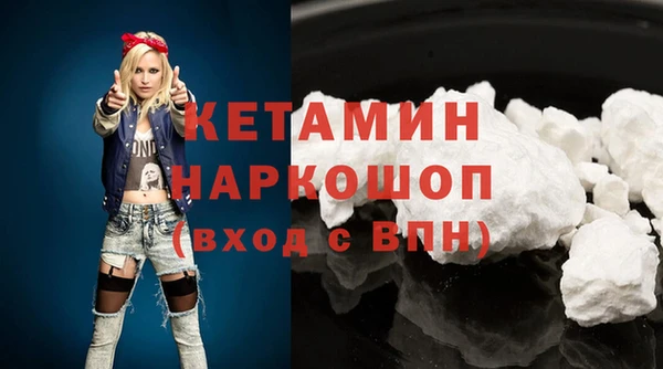 хмурый Аркадак