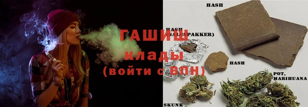 хмурый Аркадак