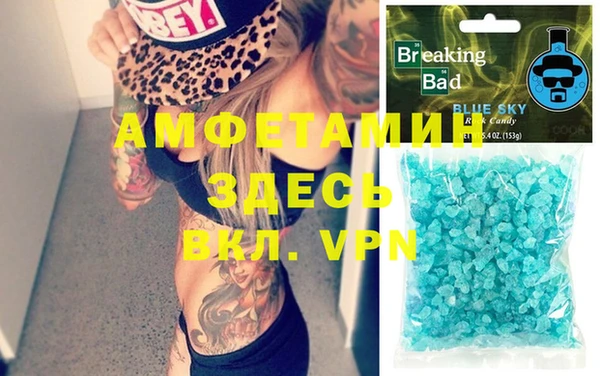 хмурый Аркадак