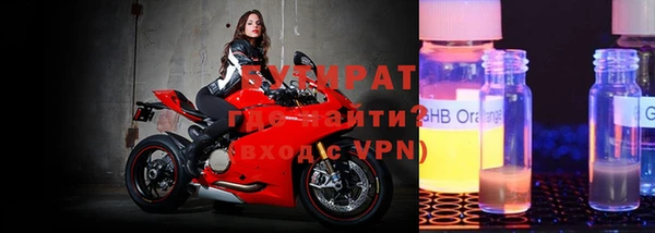 хмурый Аркадак