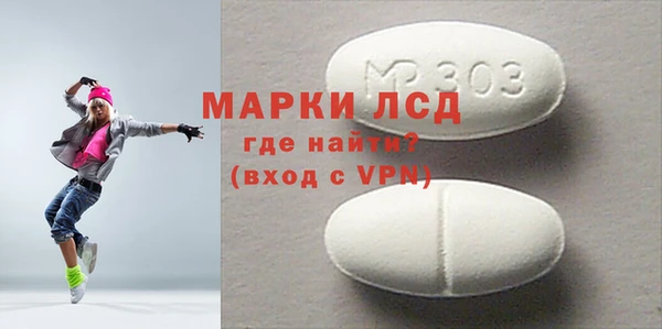 хмурый Аркадак