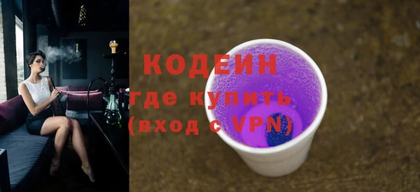 хмурый Аркадак