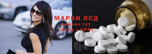 хмурый Аркадак