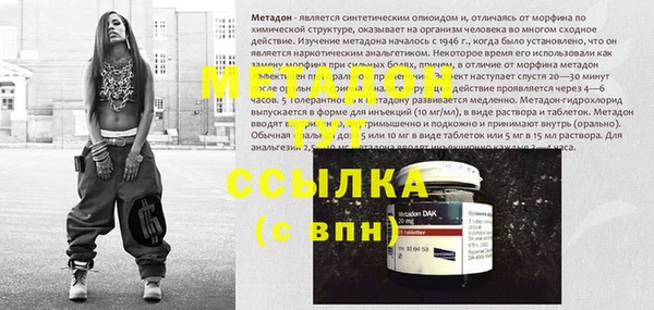 хмурый Аркадак