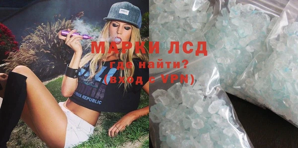 хмурый Аркадак