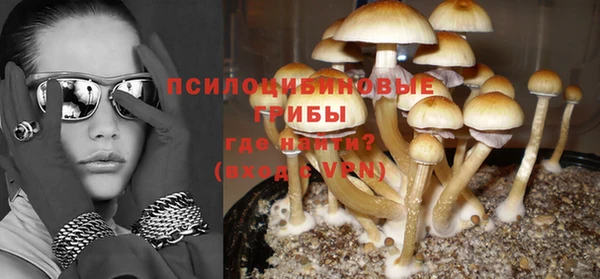 a pvp Арсеньев