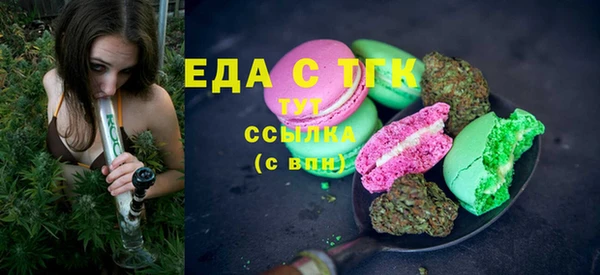 хмурый Аркадак