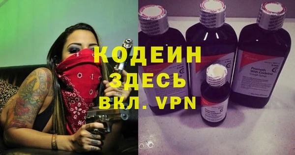 хмурый Аркадак
