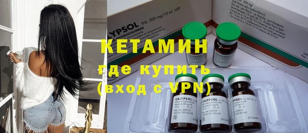хмурый Аркадак